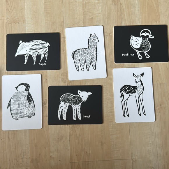 6 Art Cards for Baby Animal Collection | Contrast Cards | Developmental EUC - Picture 2 of 9